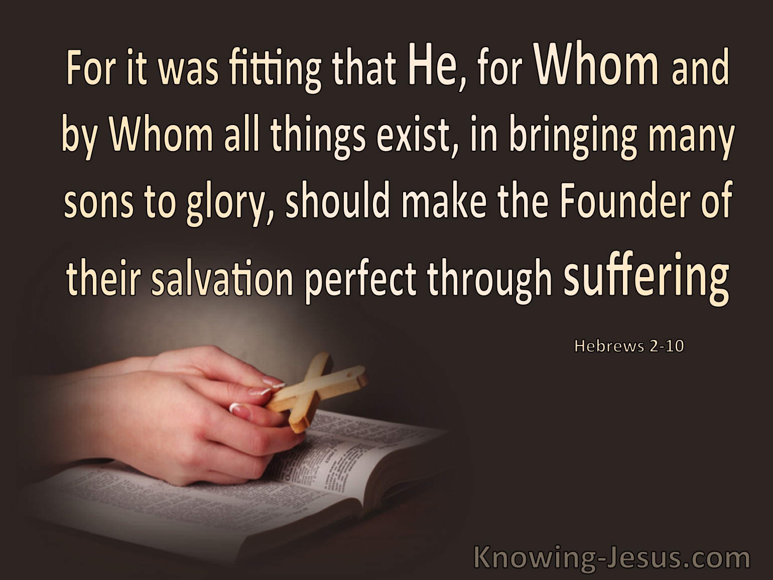 What Does Hebrews 210 Mean?